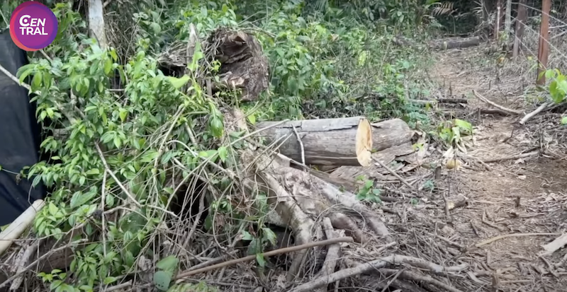 MINAE tenía denuncia de invasión en Sarapiquí desde 2023