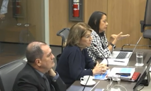 En la imagen, la magistrada Patricia Solano.