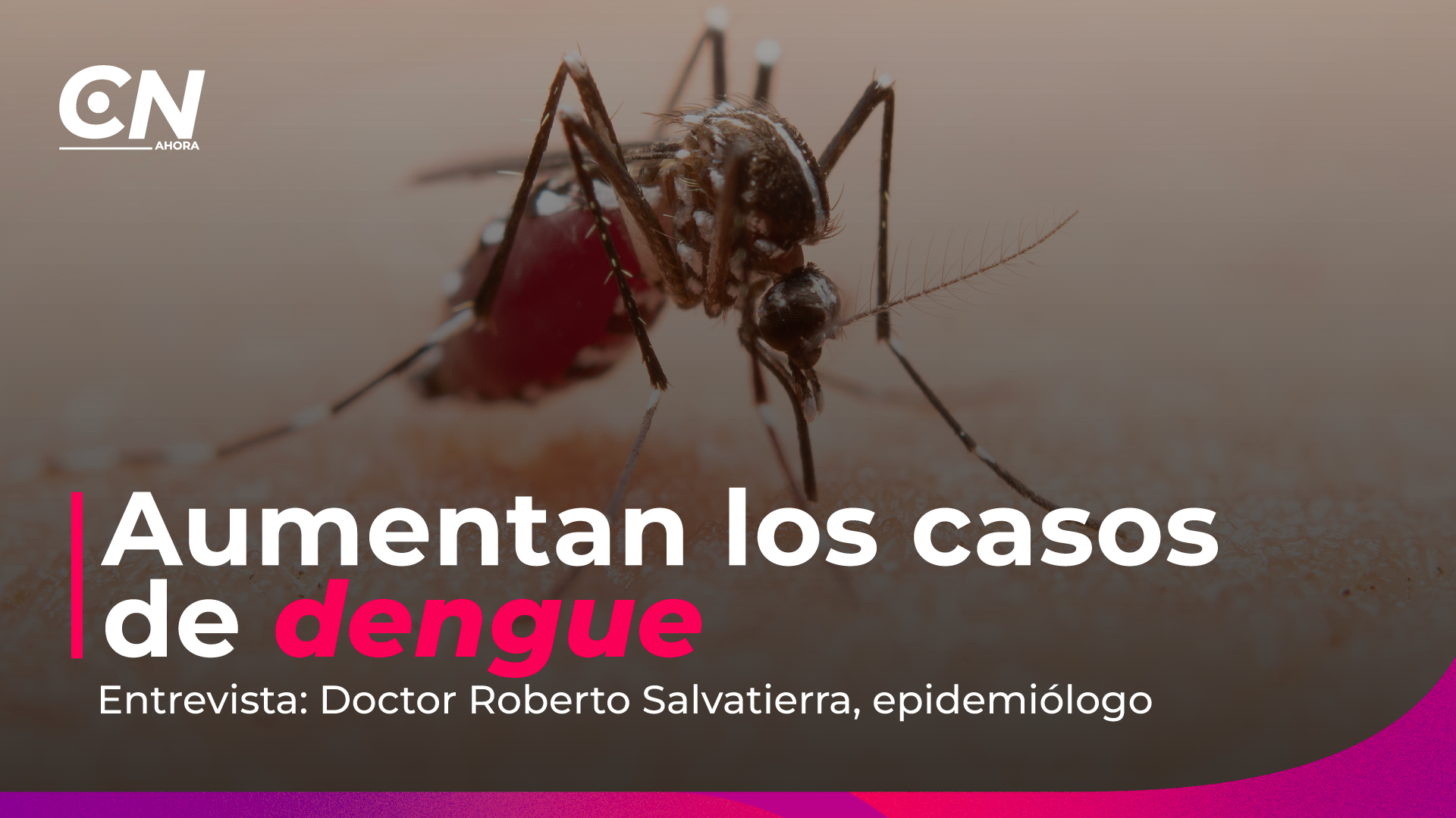 Dengue suma 3.437 casos en Costa Rica durante 2026 Obtener frases clave relacionadas.