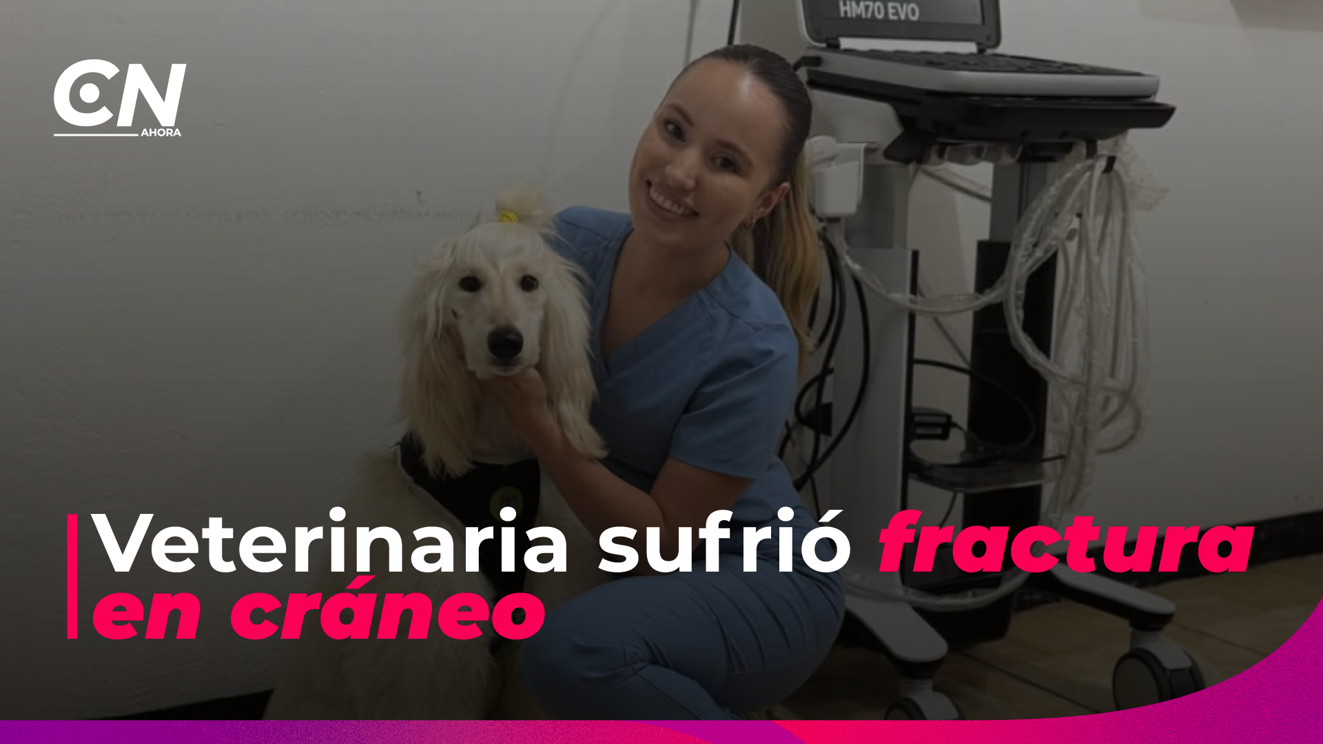 Veterinaria atacada a martillazos ya está en casa y sospechoso pasará un mes detenido.